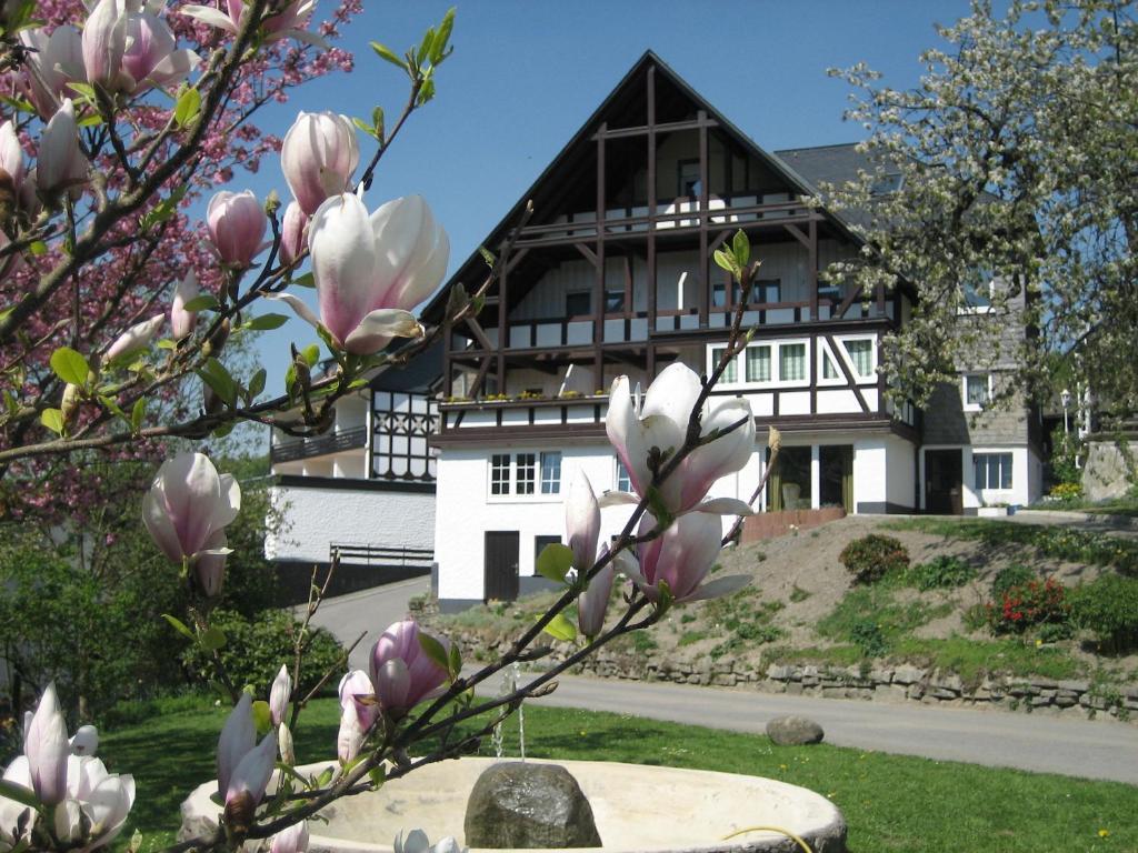 Ferienwohnungen Otto Schmallenberg Exterior photo